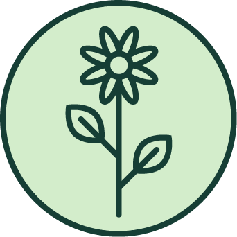 Forbs