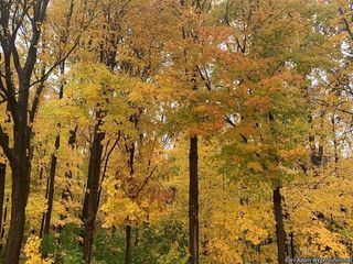 9214_ACERSAC_503 thumbnail