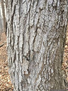 9214_ACERSAC_505 thumbnail