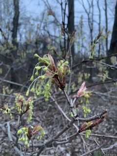 9214_ACERSAC_511 thumbnail