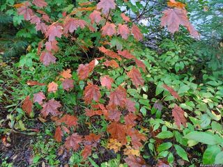 9214_ACERSAC_516 thumbnail