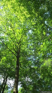 9214_ACERSAC_804 thumbnail