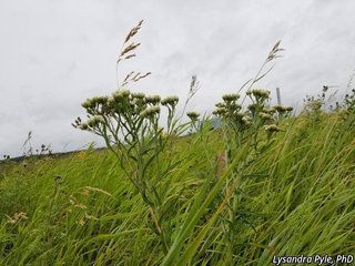 2773_ACHIALP_3907 thumbnail