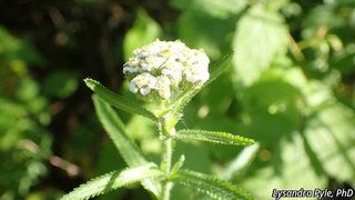 2773_ACHIALP_3912 thumbnail