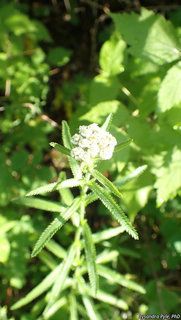 2773_ACHIALP_3913 thumbnail