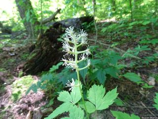 8409_ACTAPAC_524 thumbnail