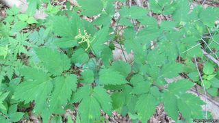 8409_ACTAPAC_803 thumbnail