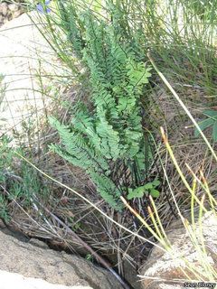 8380_ADIAALE_2356 thumbnail