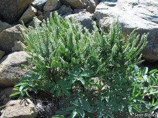 8380_ADIAALE_2357 thumbnail