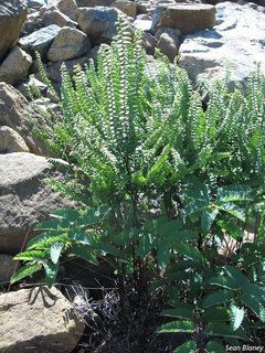 8380_ADIAALE_2358 thumbnail