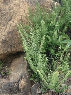 8380_ADIAALE_4291 thumbnail