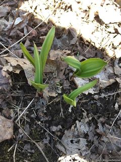 2493_ALLITRI_501 thumbnail