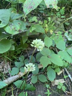 2493_ALLITRI_503 thumbnail