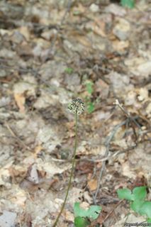 2493_ALLITRI_801 thumbnail