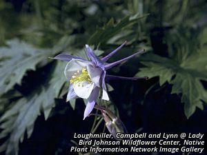 8443_AQUIBRE thumbnail