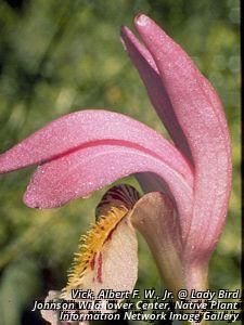 6835_ARETBUL_4 thumbnail