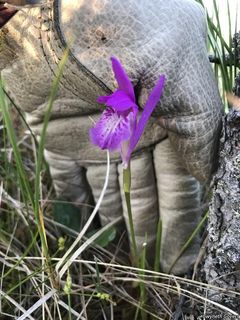 6835_ARETBUL_808 thumbnail