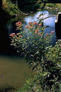 2704_ASCLINC_3 thumbnail