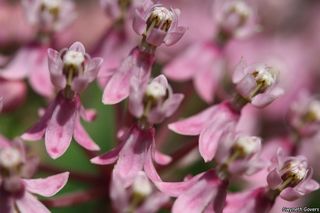 2704_ASCLINC_801 thumbnail