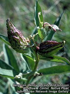 2709_ASCLSPE_4 thumbnail