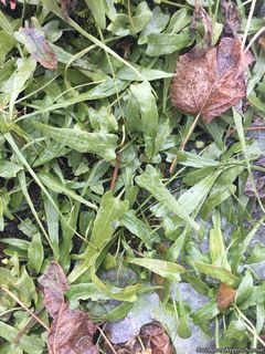 2752_ASPLRHI_503 thumbnail