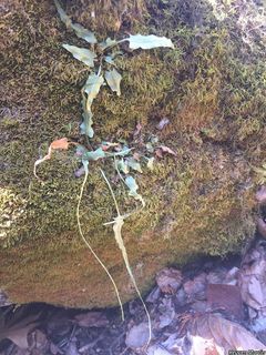 2752_ASPLRHI_507 thumbnail