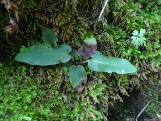 2756_ASPLSCO_501 thumbnail