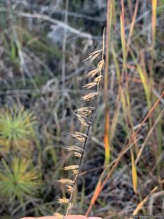 7441_BOUTCUR_502 thumbnail