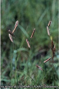 7442_BOUTGRA thumbnail