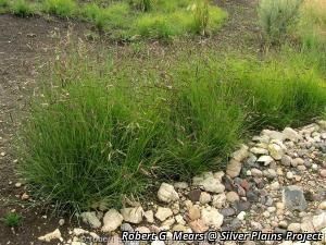 7442_BOUTGRA_5 thumbnail