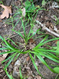 4751_CAREARC_502 thumbnail