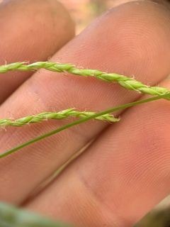 4751_CAREARC_504 thumbnail