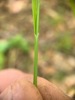 4751_CAREARC_505 thumbnail