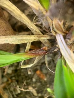 4751_CAREARC_506 thumbnail