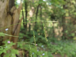 4751_CAREARC_510 thumbnail