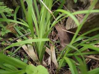 4751_CAREARC_511 thumbnail