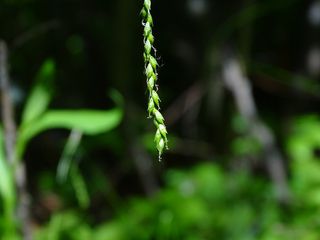 4751_CAREARC_512 thumbnail