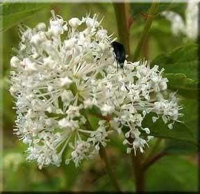 8587_CEANAME_4 thumbnail