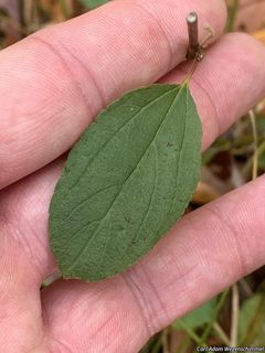 8587_CEANAME_501 thumbnail