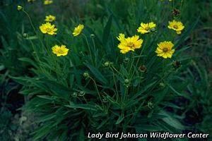 3013_CORELAN thumbnail