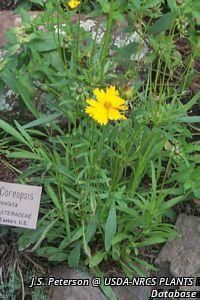 3013_CORELAN_18 thumbnail