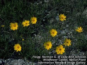 3013_CORELAN_2 thumbnail