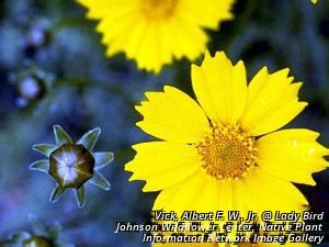 3013_CORELAN_3 thumbnail