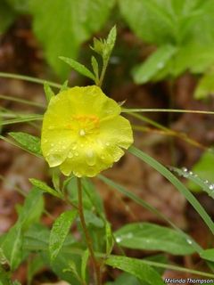 24869_CROCCAN_7001 thumbnail