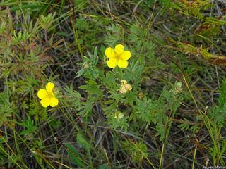 8728_DASIFRU_508 thumbnail