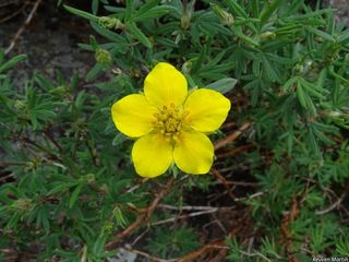 8728_DASIFRU_510 thumbnail