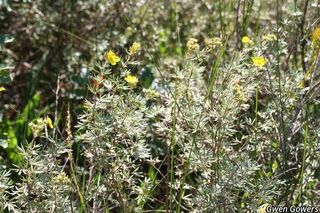 8728_DASIFRU_8021 thumbnail