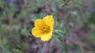 8728_DASIFRU_8041 thumbnail