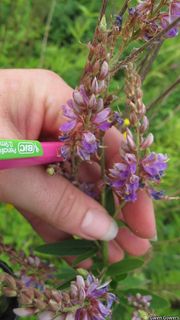 5717_DESMCAN_8031 thumbnail