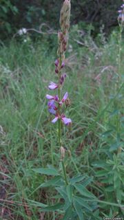 5717_DESMCAN_8041 thumbnail